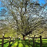 Domaine De Fresnoy 3* Loison-sur-Créquoise