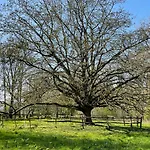 Domaine De Fresnoy Loison-sur-Créquoise