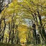 Domaine De Fresnoy Bed & Breakfast 3*