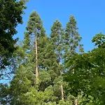 Domaine De Fresnoy Bed & Breakfast 3*
