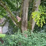 Domaine De Fresnoy 3*