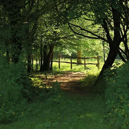 Bed & Breakfast Domaine De Fresnoy Loison-sur-Crequoise