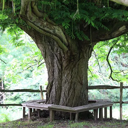 Domaine De Fresnoy Loison-sur-Crequoise