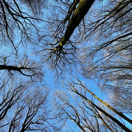 Domaine De Fresnoy 3*