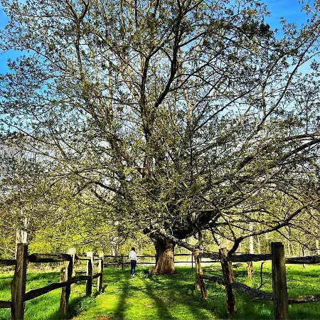 Domaine De Fresnoy 3* Loison-sur-Créquoise