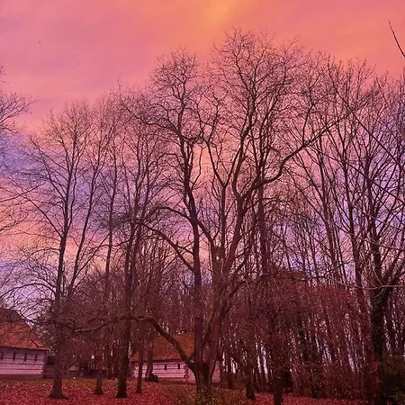 Domaine De Fresnoy 3*