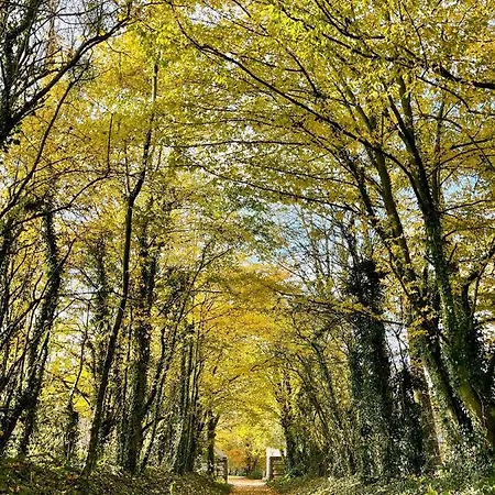 Domaine De Fresnoy Отель типа 