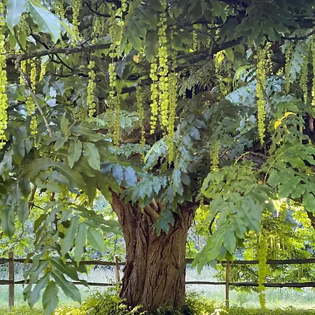 Domaine De Fresnoy Отель типа 