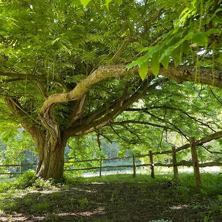 Domaine De Fresnoy 3* Loison-sur-Crequoise