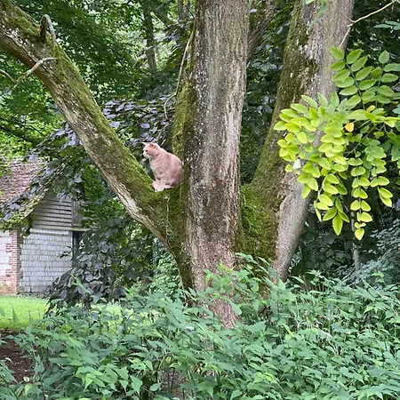 Domaine De Fresnoy 3*