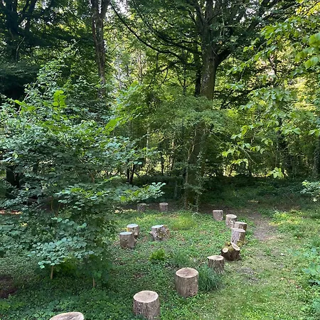 Domaine De Fresnoy Отель типа 