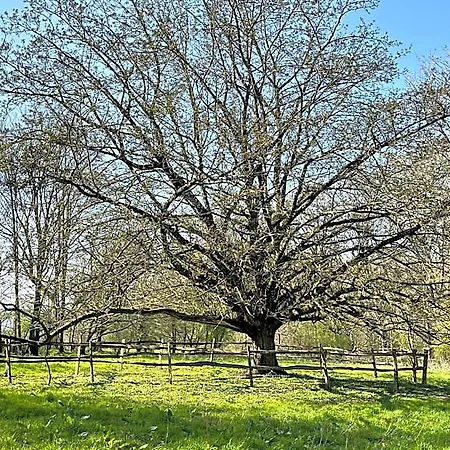 Domaine De Fresnoy Loison-sur-Créquoise
