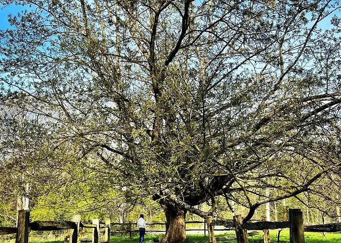 Domaine De Fresnoy 3* Loison-sur-Créquoise
