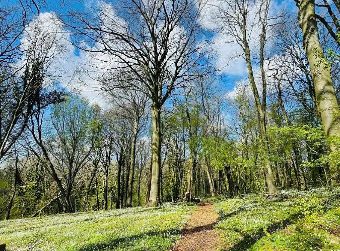 Domaine De Fresnoy 3* Loison-sur-Créquoise