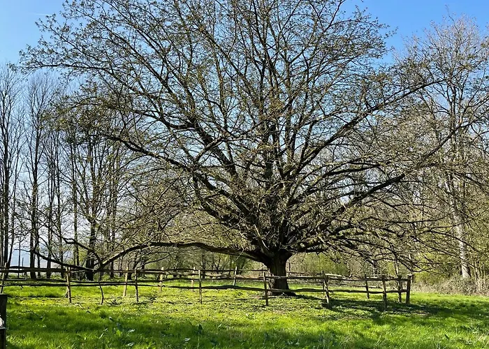 Domaine De Fresnoy Loison-sur-Créquoise