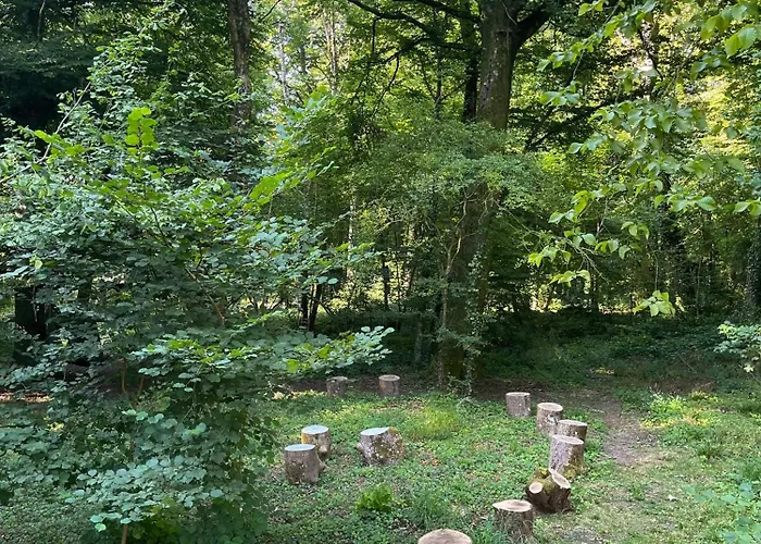 Domaine De Fresnoy Bed and breakfast 3*