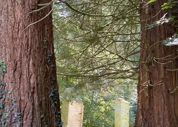 Domaine De Fresnoy
